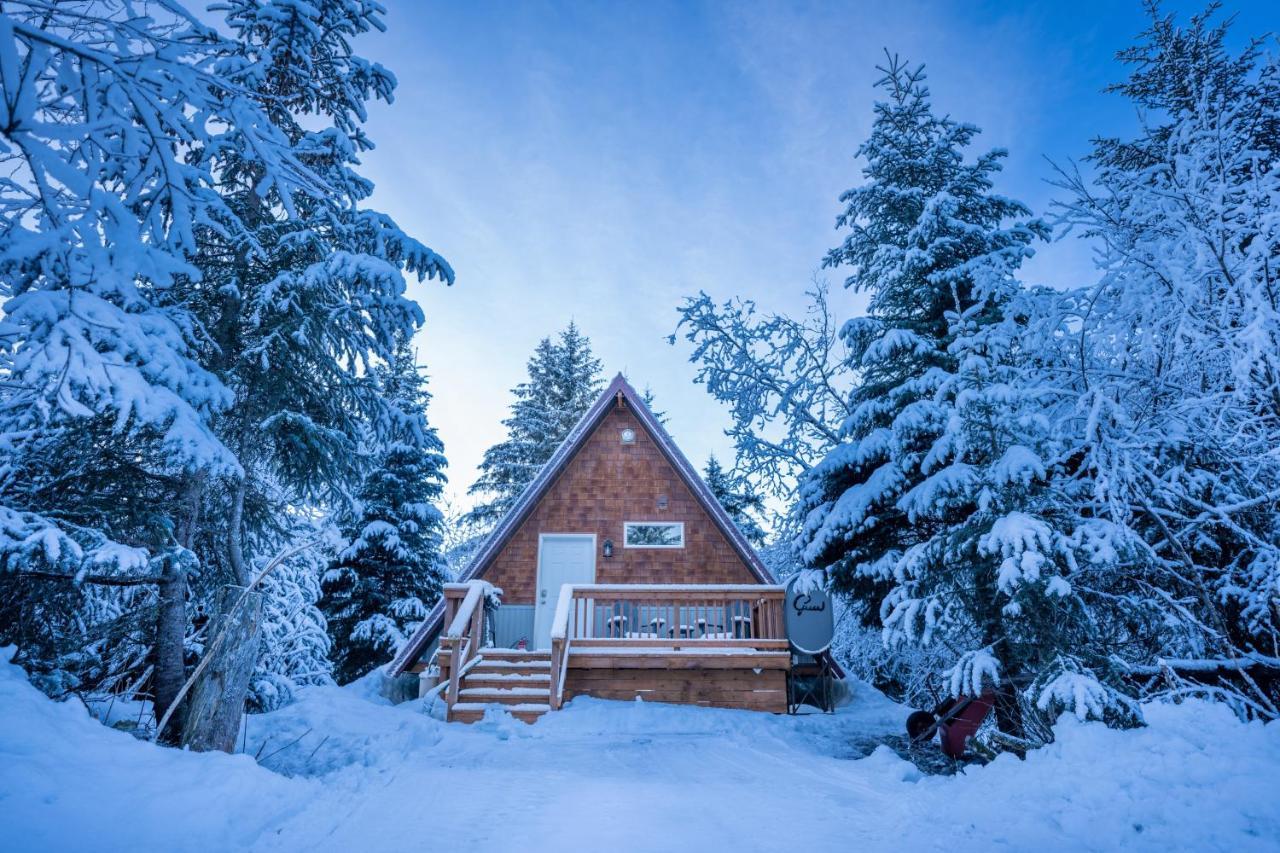 Glacier Creek Cabins Seward Esterno foto