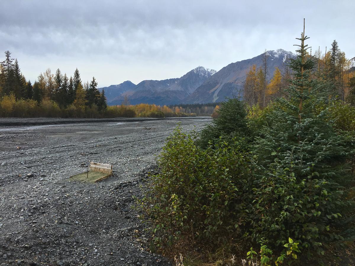 Glacier Creek Cabins Seward Esterno foto