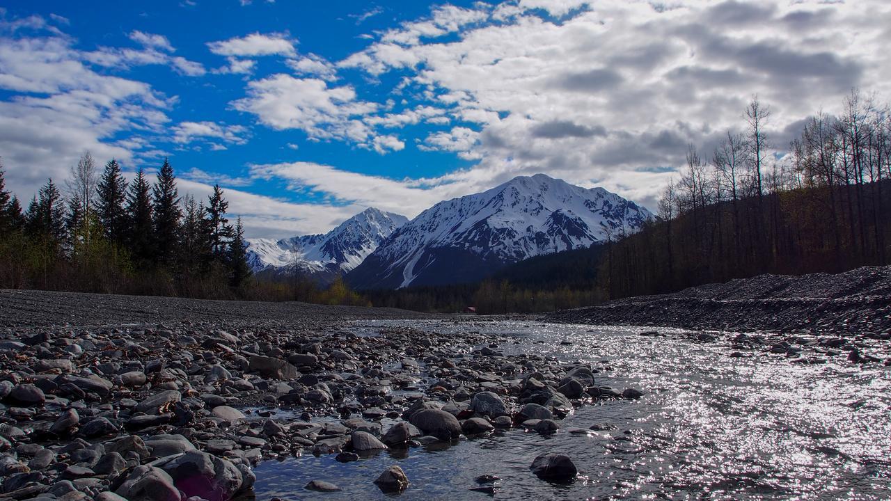 Glacier Creek Cabins Seward Esterno foto