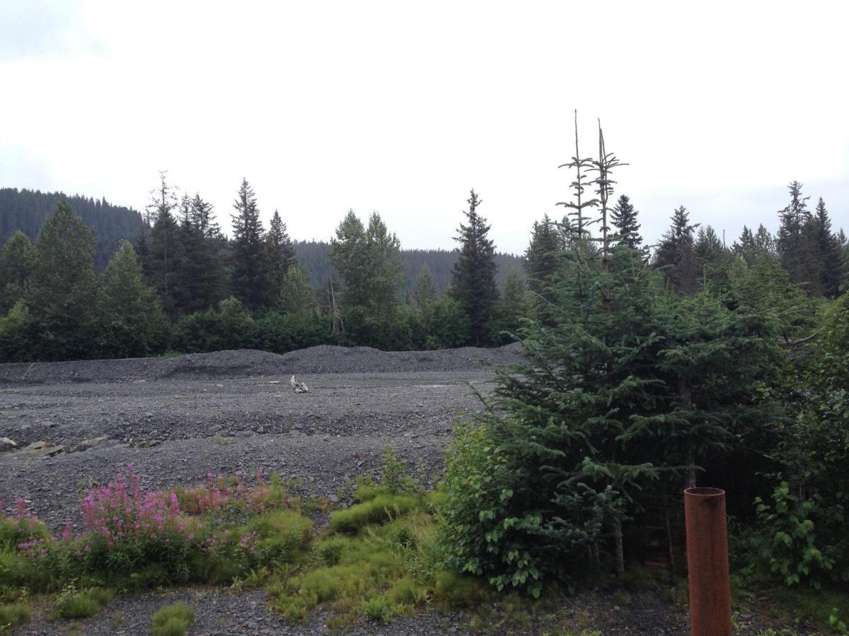 Glacier Creek Cabins Seward Camera foto